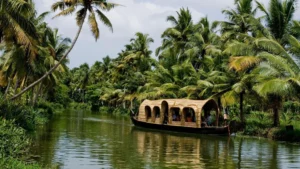 Kerala-backwaters-houseboat-tour-India